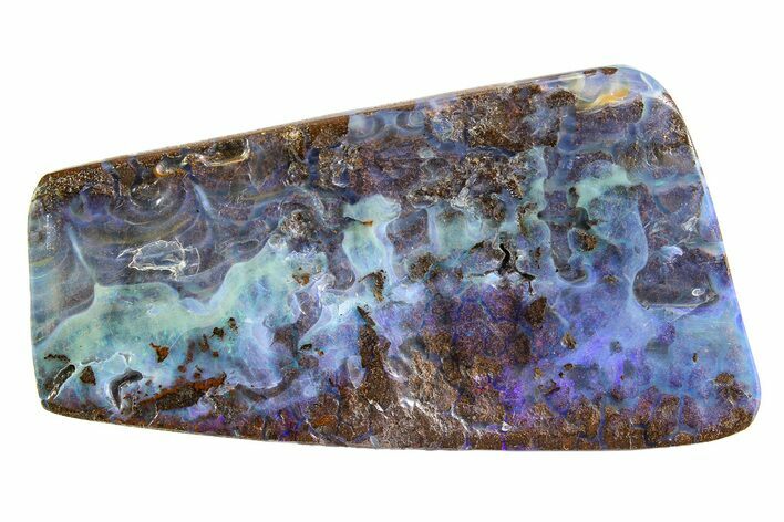 Polished Blue Boulder Opal Specimen - Queensland, Australia #351920